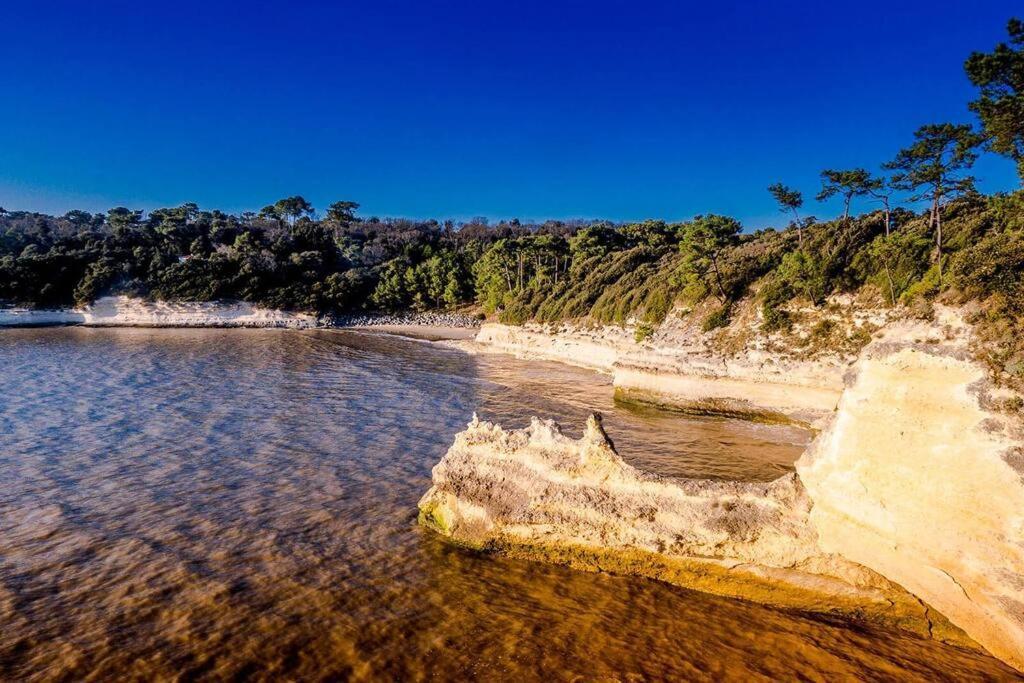Entre Plage Et Foret - Agreable T3 Saint-Georges-de-Didonne Zewnętrze zdjęcie